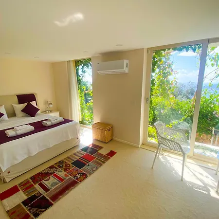 Panorama Jilda Livya *