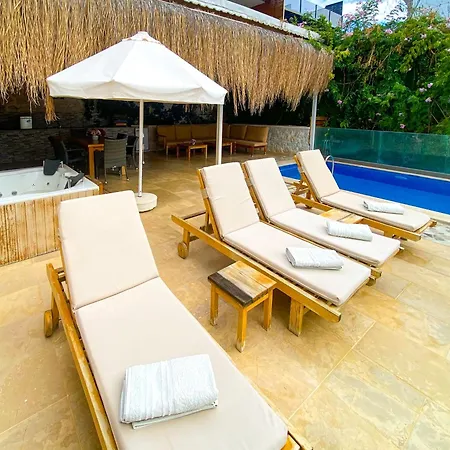 Panorama Jilda Livya *